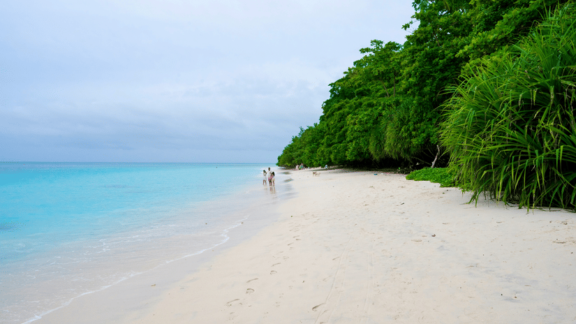 A family of 3 walking on Radhanagar beach with clear waters and forest cover on either side of them.