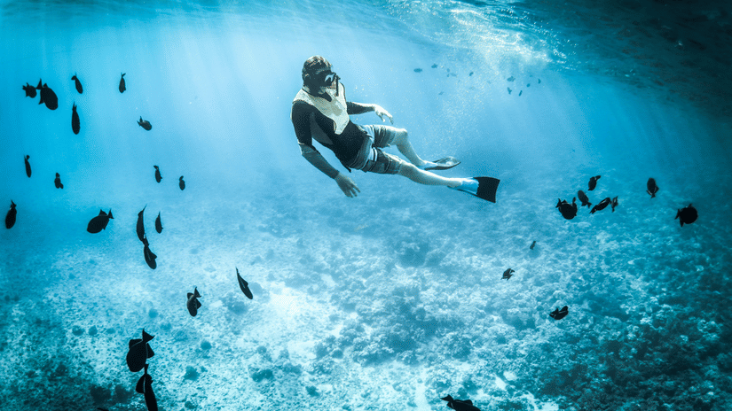 A free diver swims deep underwater surrounded by a school of small black fish in clear blue sea.
