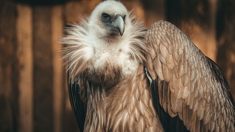 jevgeni-fil-YCavoCWShXY-unsplash