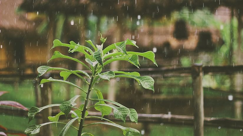 Raining during the months of monsoon in Meghalaya