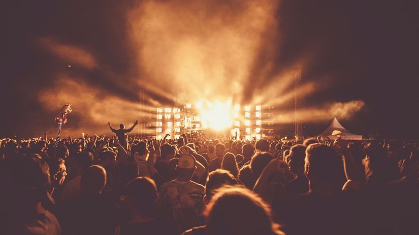 People having fun in the concert