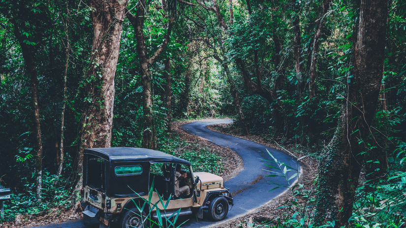 A jeep travelling along a winding tarred road amidst towering trees near one of the popular Port Blair attractions.