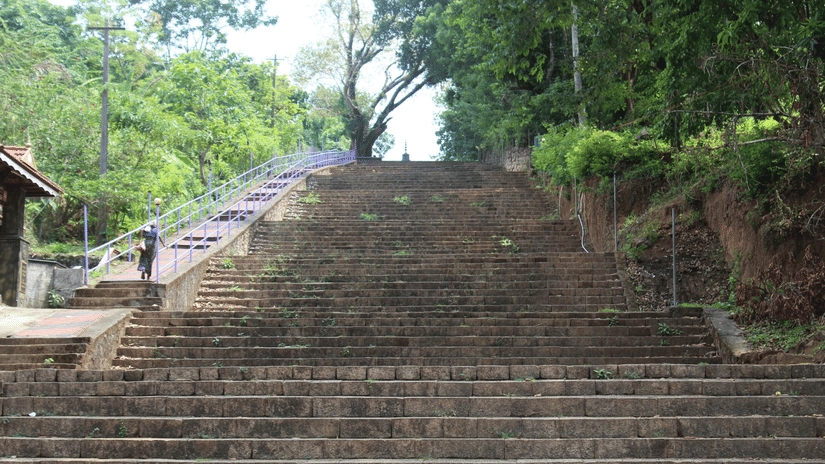 An overview of the many steps leading to a temple with trees on either side of the steps.