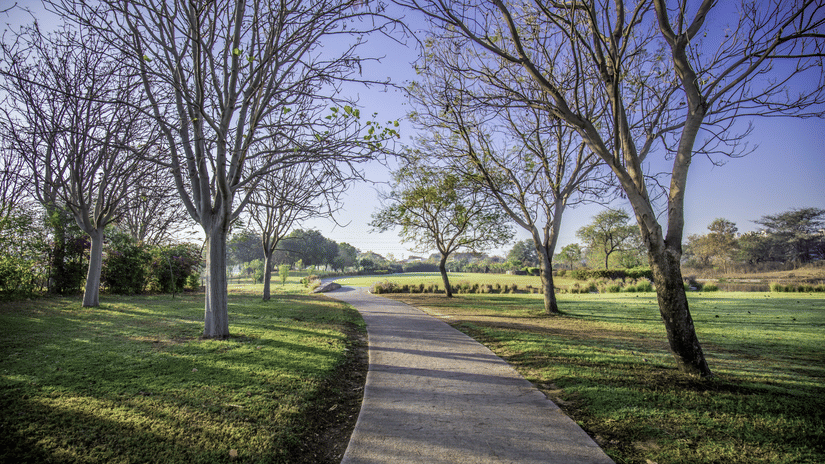 Neatly trimmed hedges at the golf course at Karma Lakelands