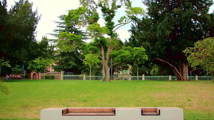 an image of a park with a bench to sit and green trees around