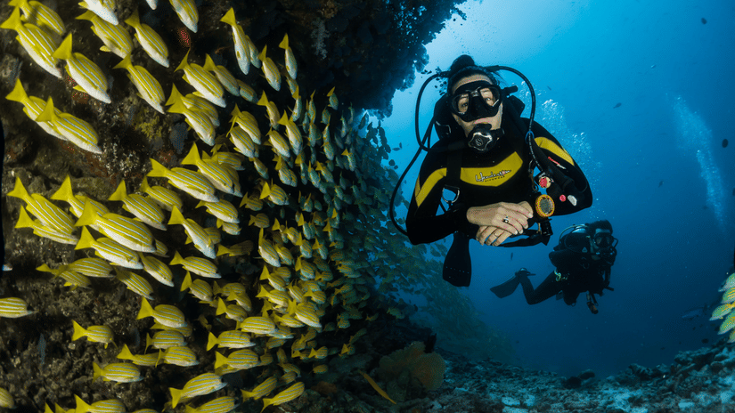 A person scuba diving with coral reefs at the bottom and a school of fishes next to him, another person also seen scuba diving behind him.