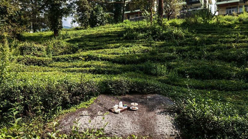 Teagarden Breakfast -@ Lamrin Norwood Green, Palampur