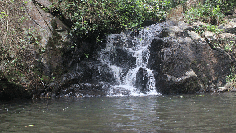 Let s Camp Yercaud activity stream