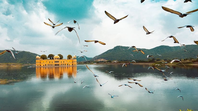 Jal Mahal in a lake with mountains in the background and birds flocking towards it