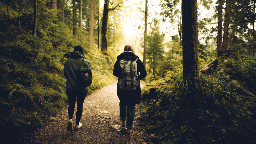 Two hikers with backpacks walking along a sunlit forest path between tall trees and mossy green undergrowth.