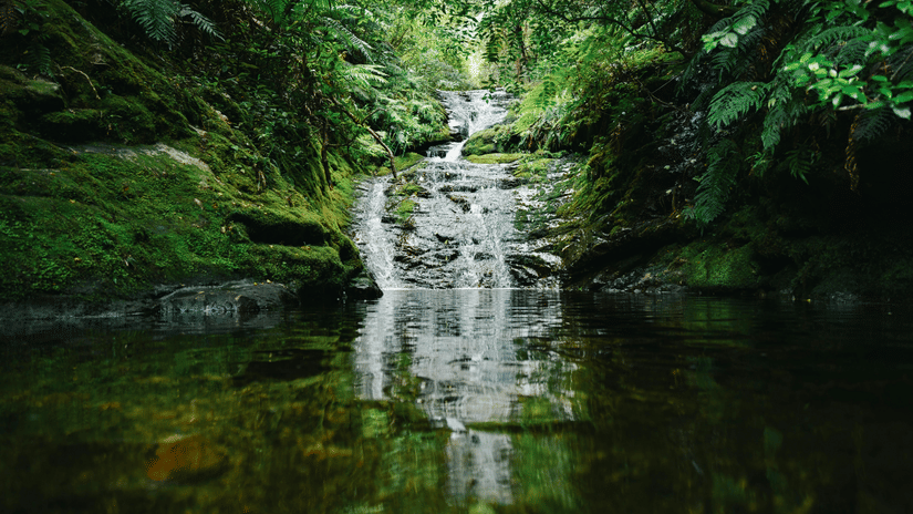 A small waterfall flowing over moss-covered rocks into a calm, dark pool of water surrounded by dense forest.