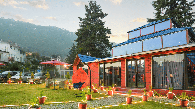 A building with glass doors and windows near two huge trees, and decorated front yard with a rocking chair