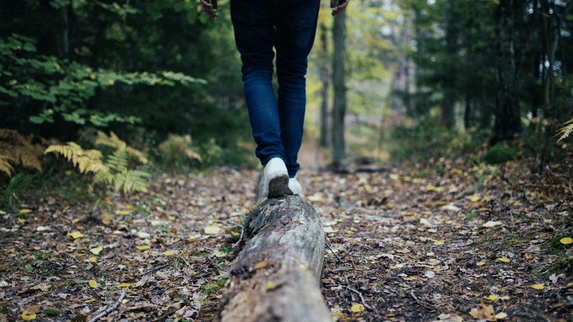 A person walking in a lush green forest