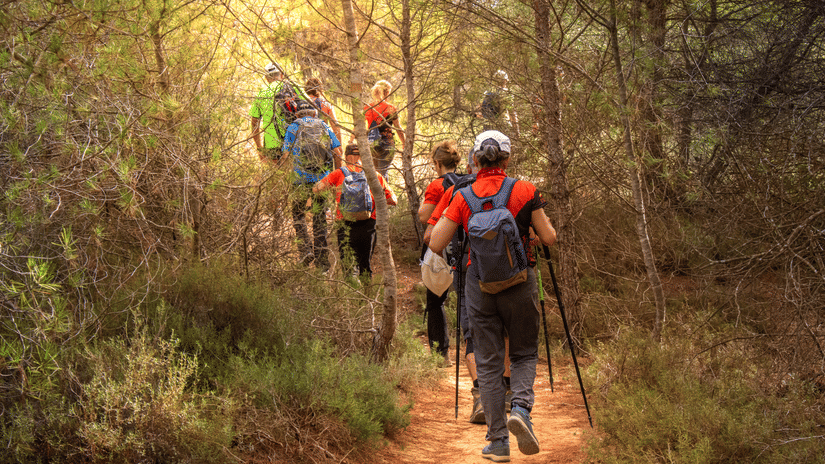 Nature walk dandeli Stone Wood Premier 