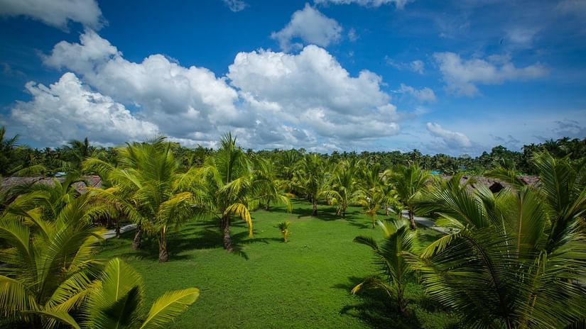 aerial view of Symphony Palms Garden