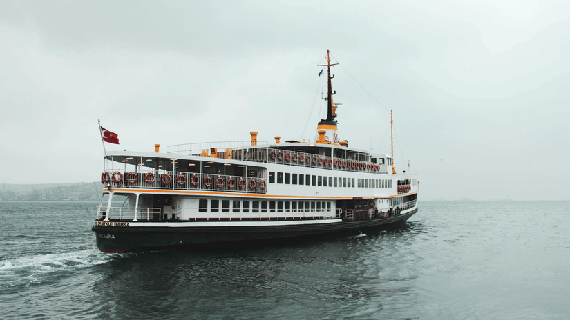 A large passenger ferry sails on the water on a grey, overcast day.