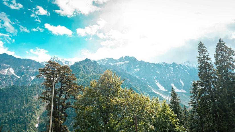 The himalayan peaks as seen from below with trees in front of the mountains - great himalayan national park unesco
