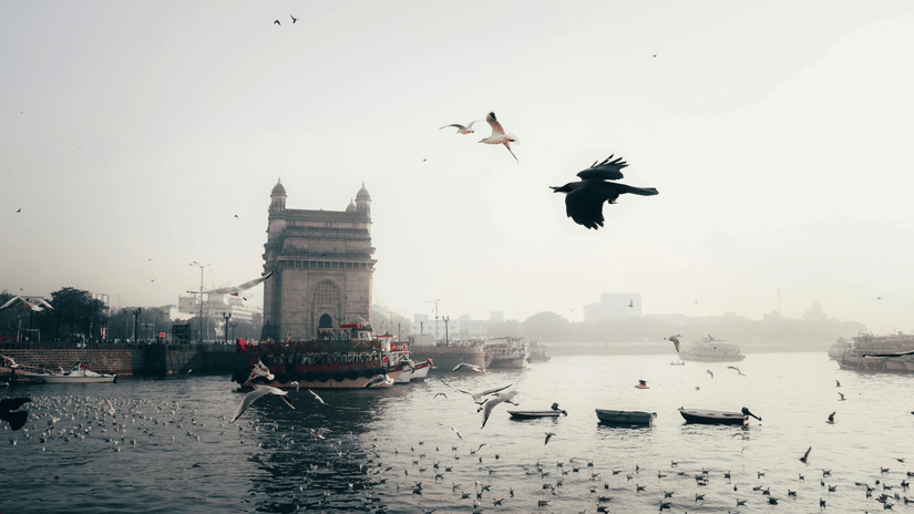 Birds fly over a misty harbor with boats and the Gateway of India visible in the background.