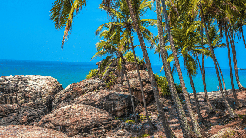 One of the beaches near Kovalam featuring tropical trees on th rocky shores of a blue sea