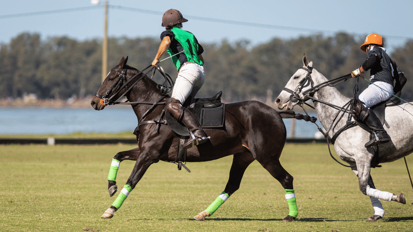 Jodhpur-polo-match-sunny-day