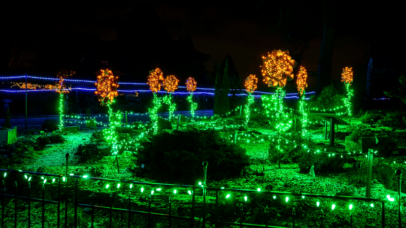 An outdoor garden illuminated at night with vibrant green strip lighting on pathways and decorative orange orb lights.