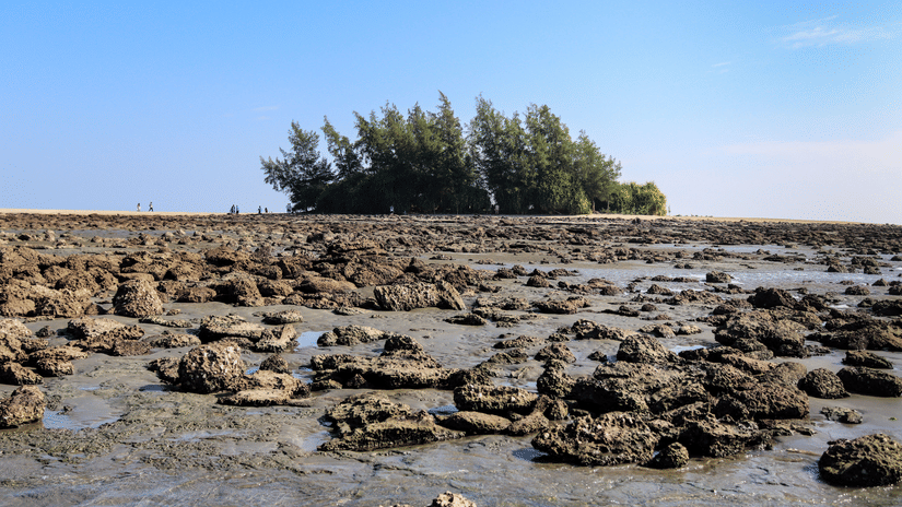 Numerous small reefs at a marine national park with small shrubs growing in the back under a clear blue sky.
