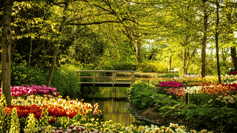 A small wooden footbridge crossing a tranquil stream in a lush, sun-dappled garden filled with colourful blooming flowerbeds.