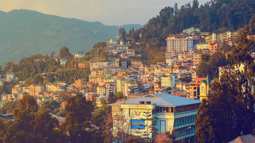 Top view of a houses with trees and mountain in the distance.
