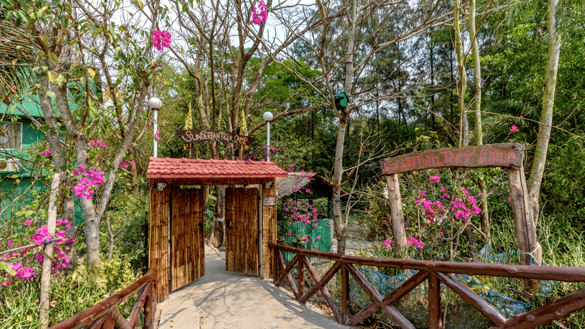 A pathway with wooden walls leading to a wooden gate surrounded by plants and trees.