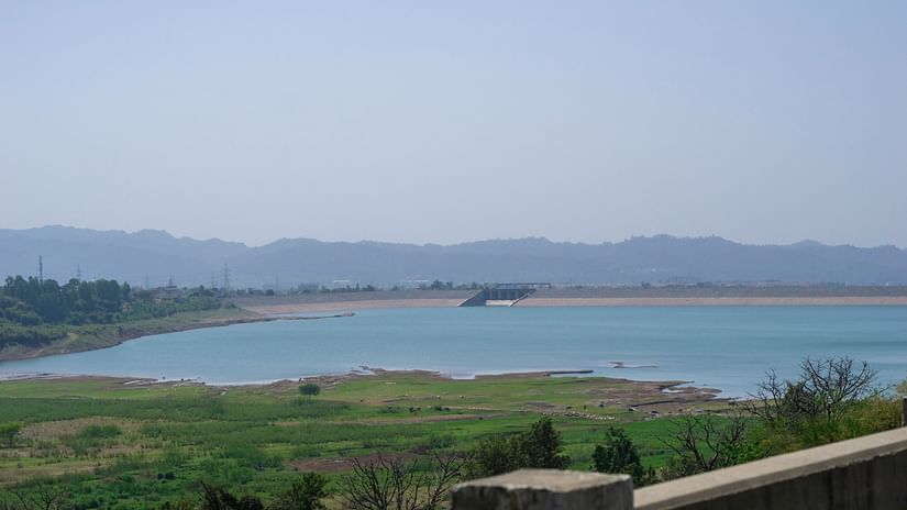 A dam in the background with grass and small shrubs in the foreground