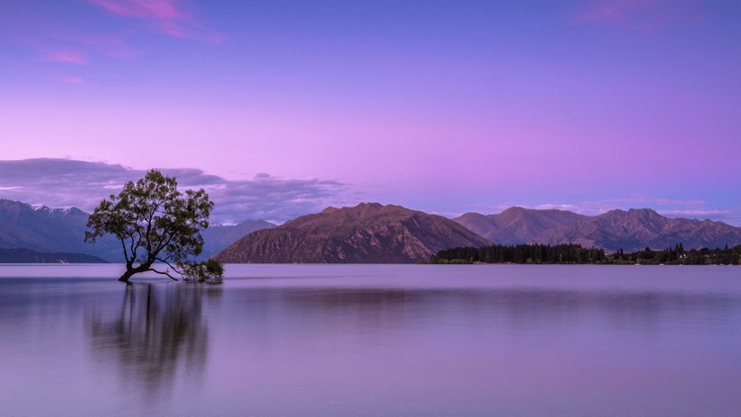 A large lake with a tree in between, mountains in the background, and purple hues in the sky