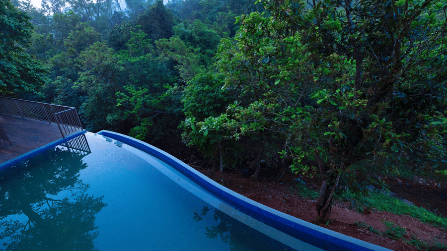 An overview of an infinity pool with forest cover in the distance - Abad Brookside, Lakkidi