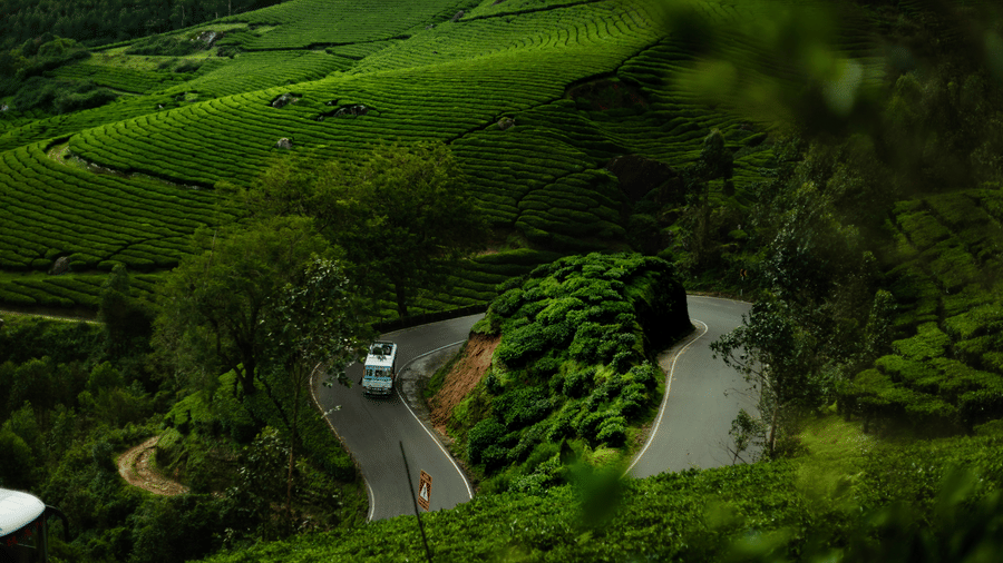 Aerial view of a vehicle going down a winding road in a lush hill, surrounded by greenery and plants in the foreground.