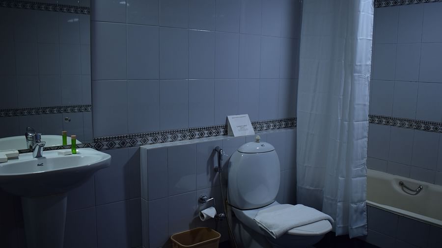 dlx bathroom 2
