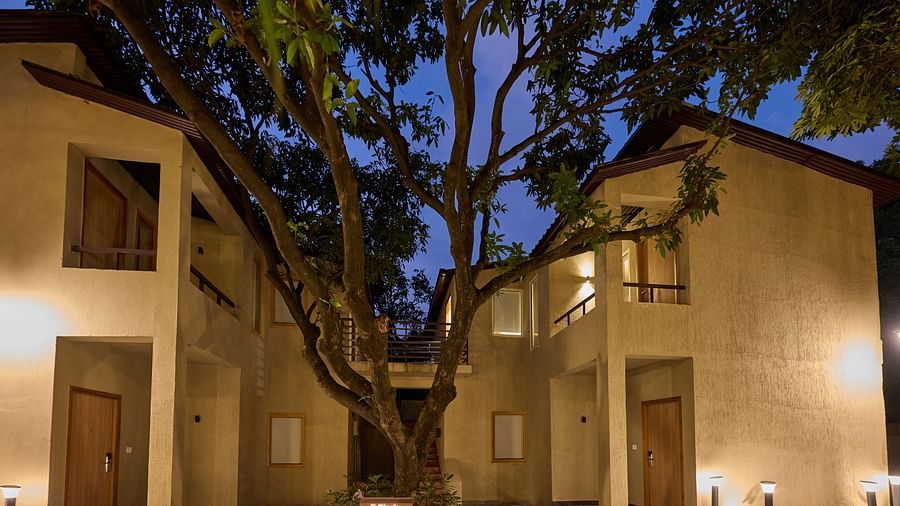 a tree outside two buildings at ABN Sarovar Portico, Jim Corbett