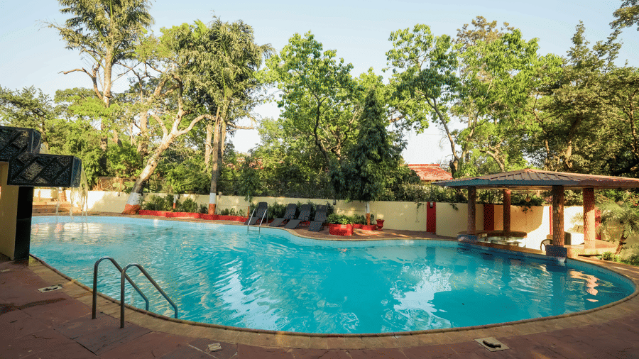 Daytime view of a large outdoor swimming pool surrounded by a deck, sun loungers, and lush trees at Adamo The Village. 