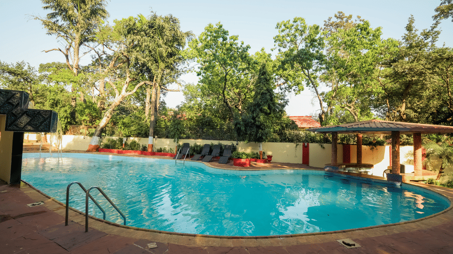 A wide-angle view of a large outdoor resort swimming pool surrounded by a concrete deck and a dense backdrop of trees.