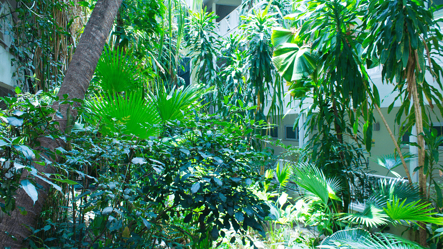 Gardenas 3 Canon edited