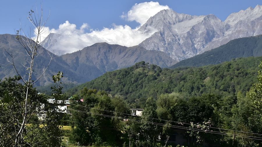Mountain View (1)