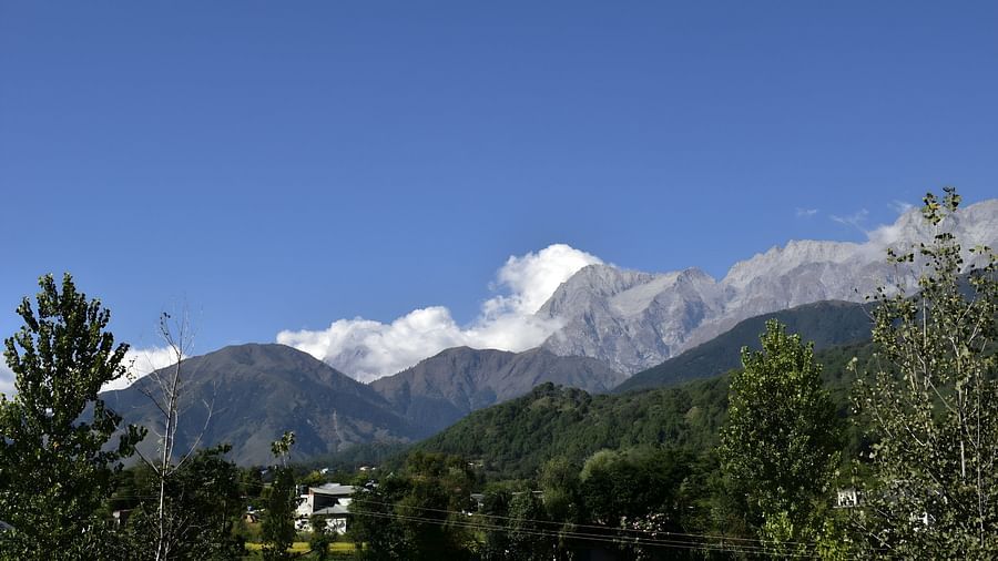 Mountain View (2)