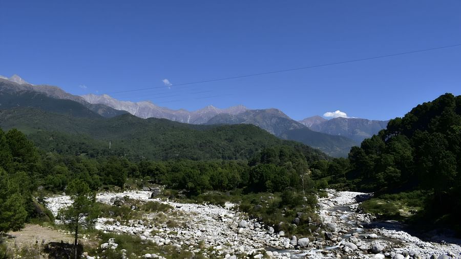 Mountain View (4)