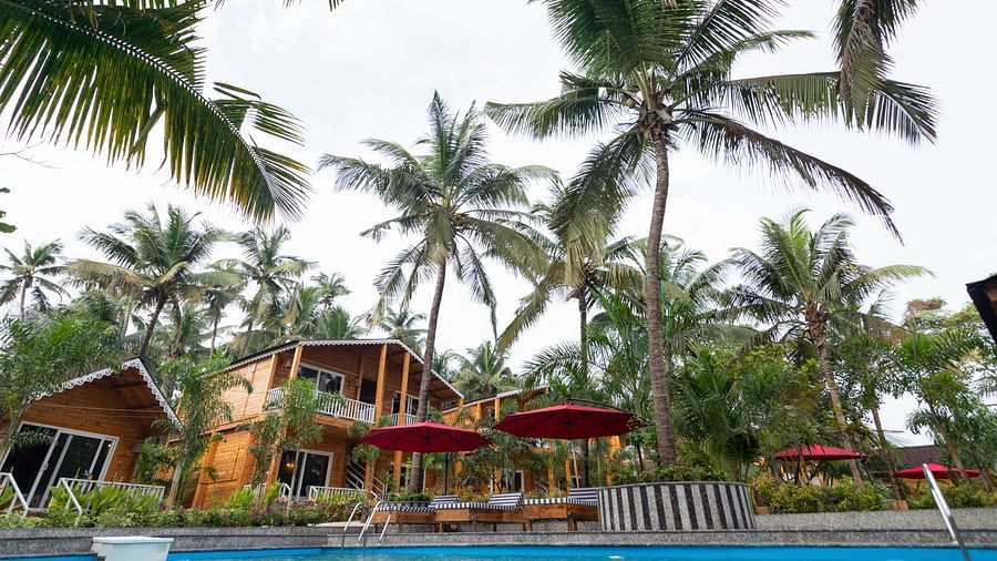 A resort swimming pool with red umbrellas, wooden loungers, surrounded by tropical vegetation and wooden cabins Aralea Beach Resort by Stone Wood, Morjim