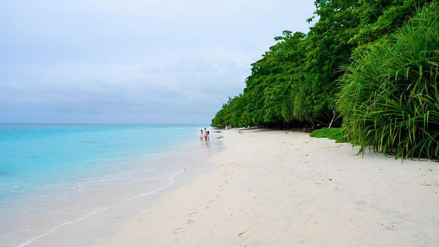 A family of four walking on Radhanagar beach with turquoise waters and forest cover on either side of them.
