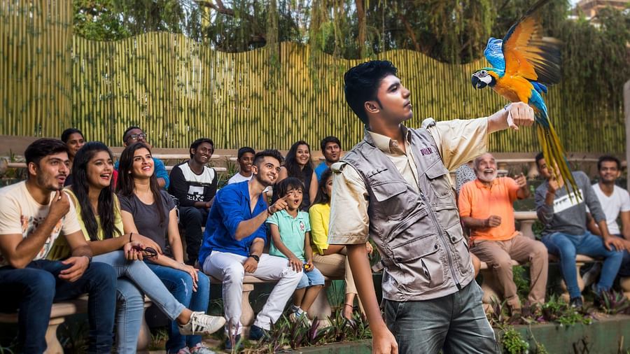 bird park esselworld, a group of people looking at a person holding a bird