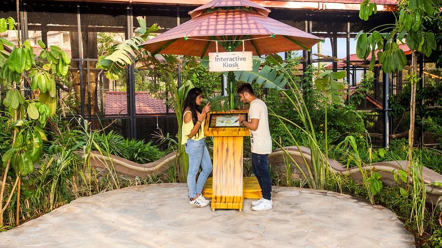 bird park esselworld,  a couple interacting with a kiosk