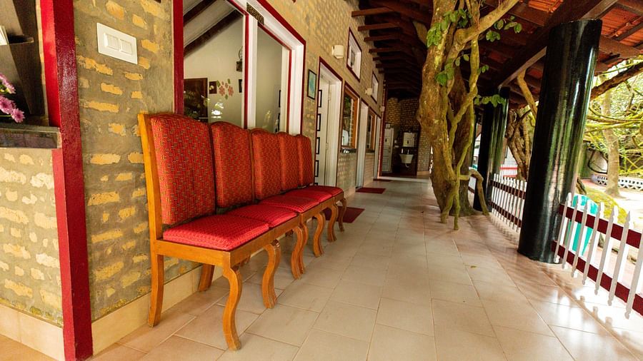 A close up of the seating arrangements next to a tree at Capitol Village Resort Madikeri