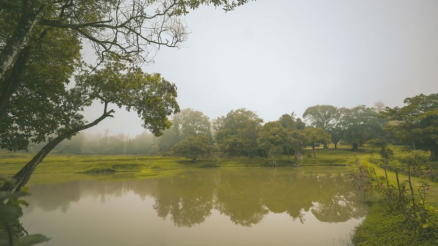 A lake with trees and greenery around in a misty setting at Capitol Village Resort, Madikeri