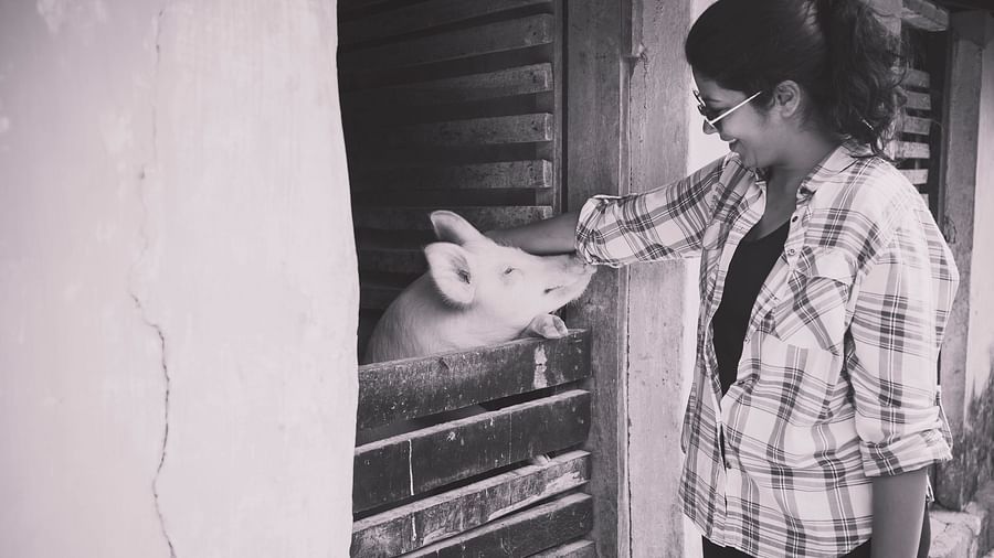 A woman playing with a pig at Capitol Village Resort Madikeri