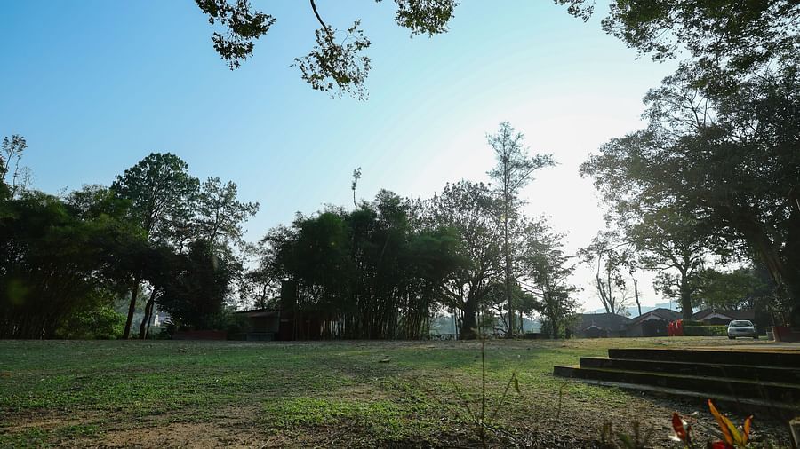 Another view of Aiyanna Lawns, Capitol Village Resort, Madikeri with trees and nature surrounding it