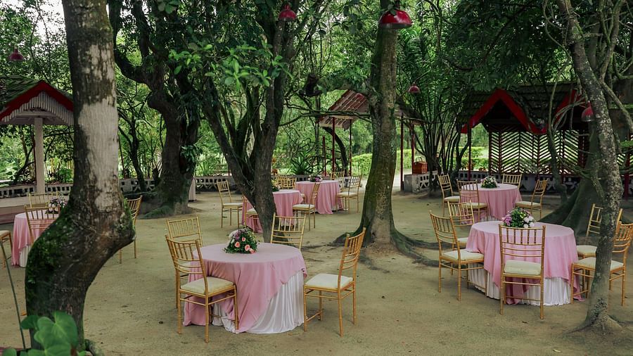 Seating arrangements next to trees at The canopy, Capitol Village Resort, Madikeri